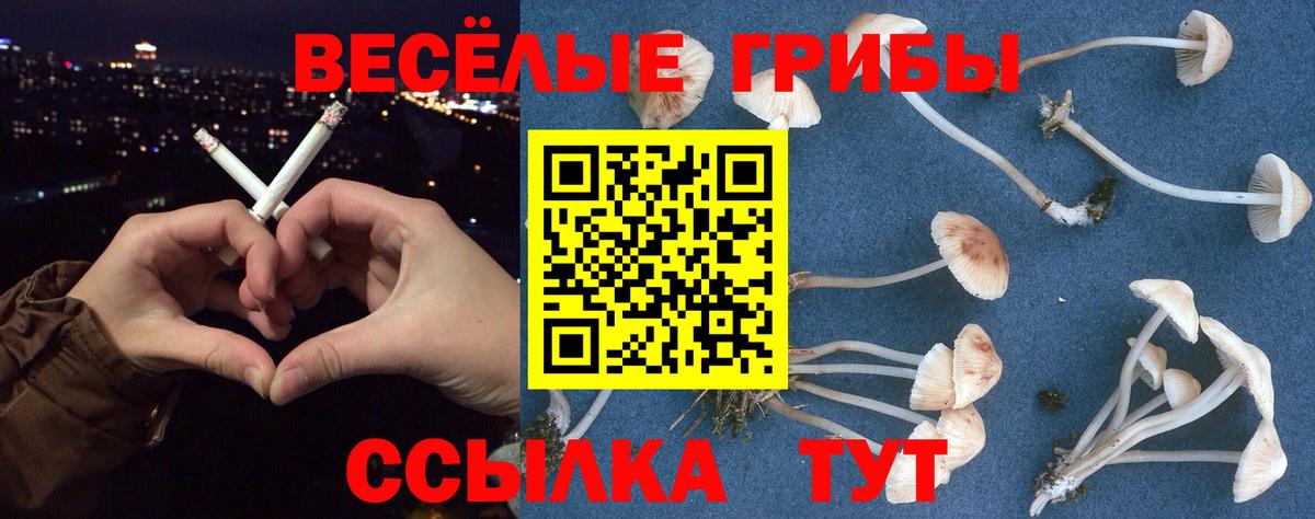 Галлюциногенные грибы MAGIC MUSHROOMS Дедовск